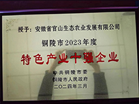 特色産業(yè)十強企業(yè)