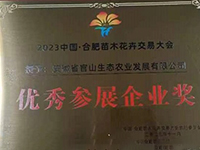 優秀參展企業(yè)獎